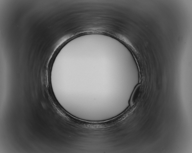 X0000083531079200703021546