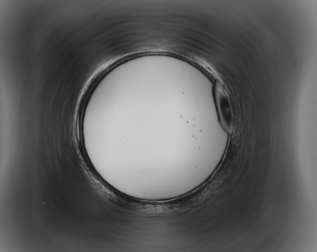 X0000083531080200703021546