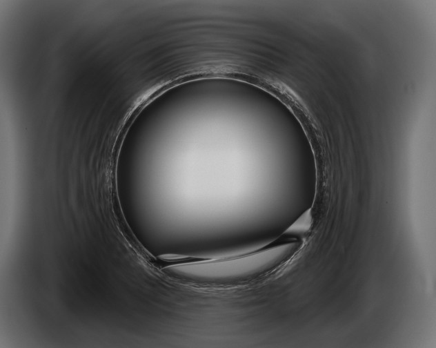 X0000083531081200703021546