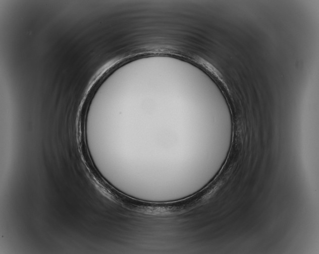 X0000083531082200703021546