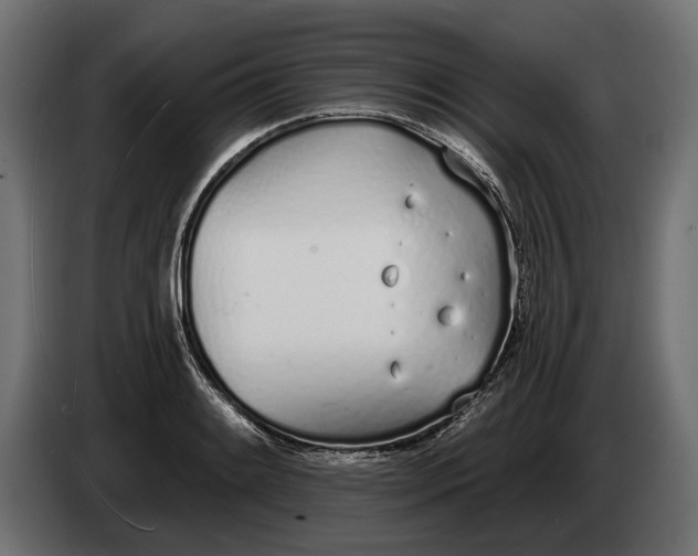 X0000083531084200703021546