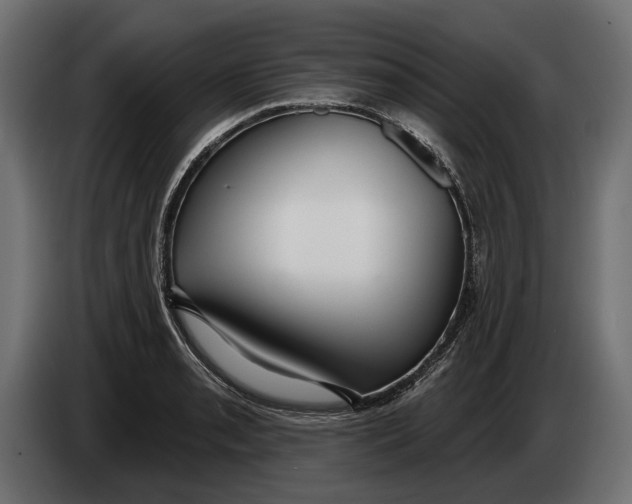 X0000083531085200703021546