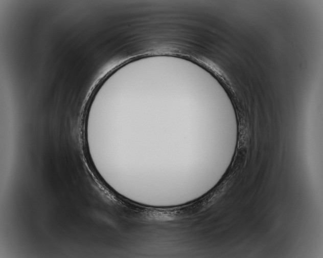 X0000083531086200703021546