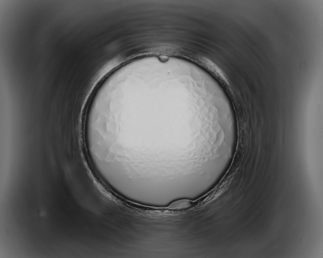 X0000083531087200703021546