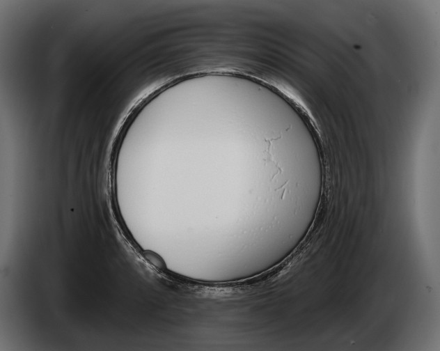 X0000083531088200703021546