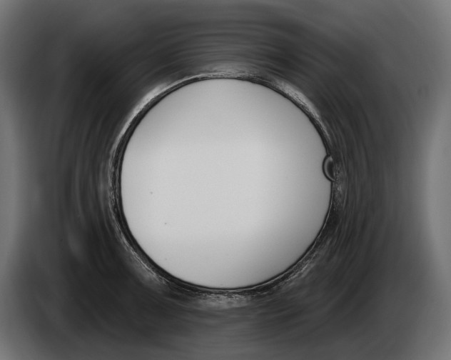 X0000083531091200703021546