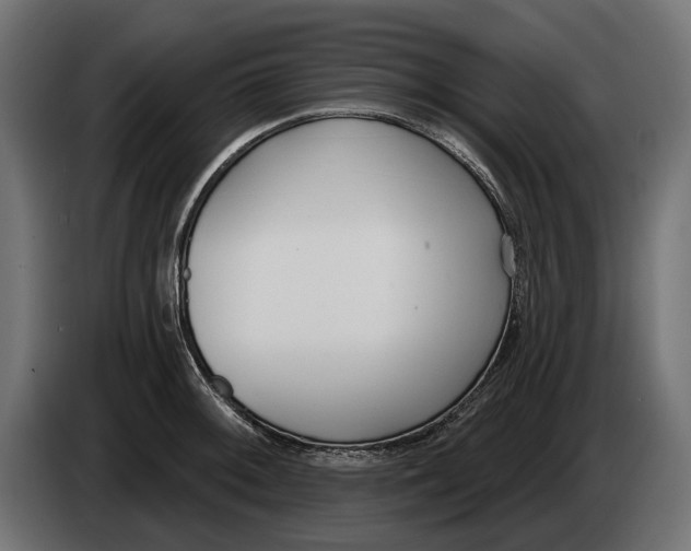 X0000083531092200703021546