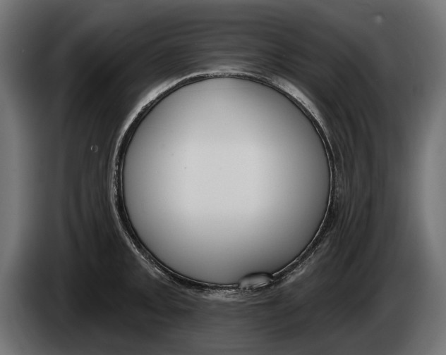 X0000083531093200703021546