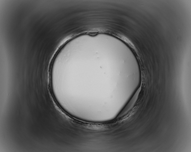 X0000083531095200703021545