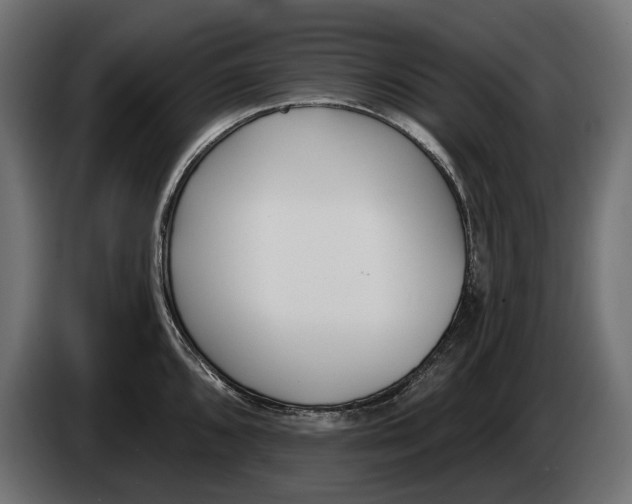 X0000083531096200703021545