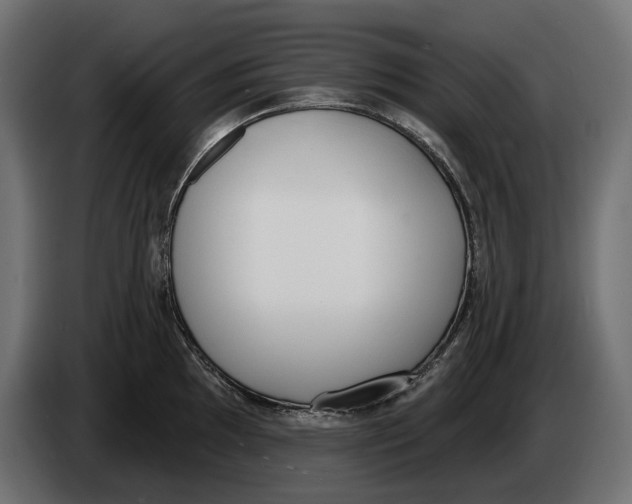 X0000083531097200703021545