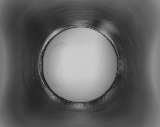 X0000083531098200703021545