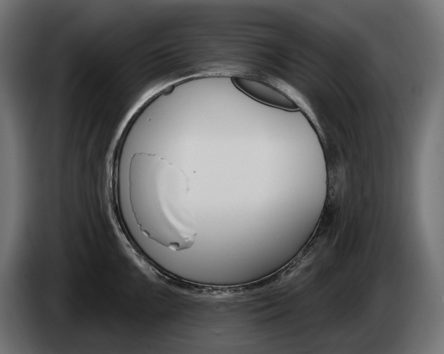 X0000083531099200703021545