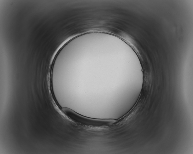 X0000083531100200703021545