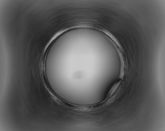 X0000083531101200703021545