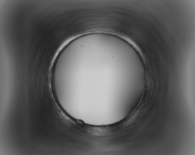 X0000083531102200703021545