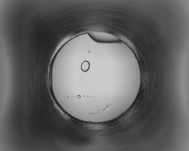 X0000083531103200703021545