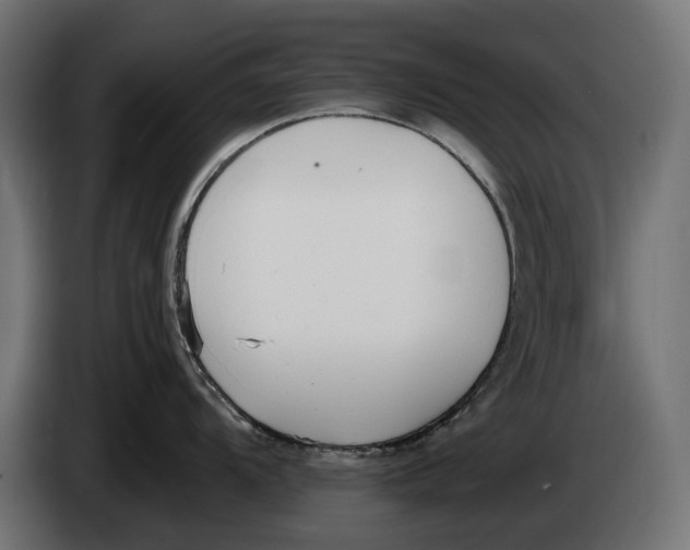 X0000083531104200703021545