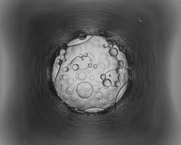 X0000083531106200703021544