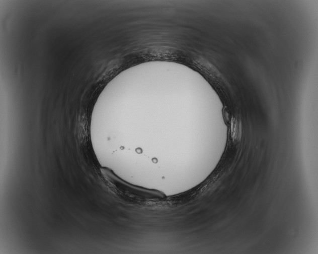 X0000083531107200703021544