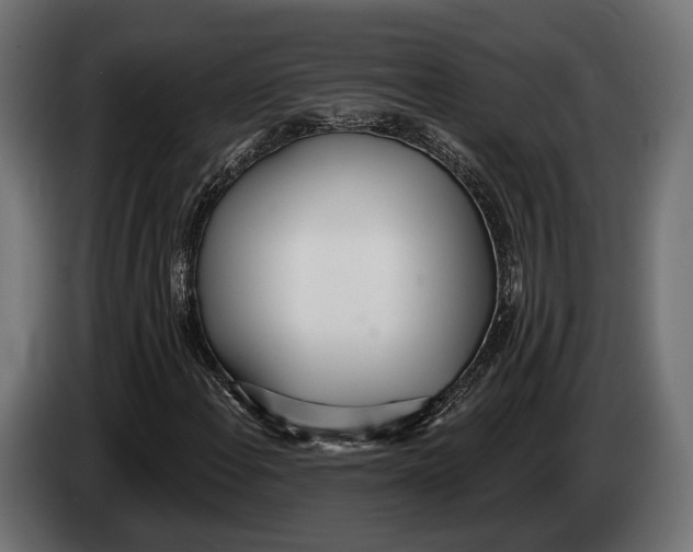 X0000083531108200703021545