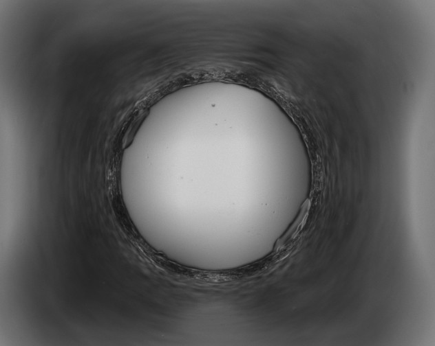 X0000083531109200703021545