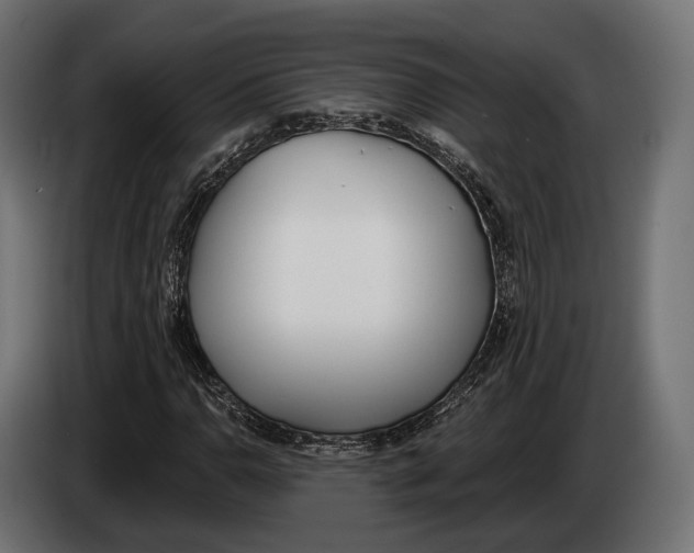 X0000083531110200703021545