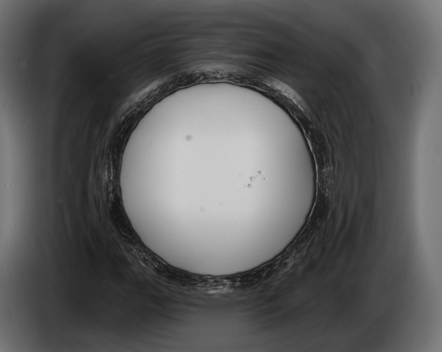 X0000083531111200703021545