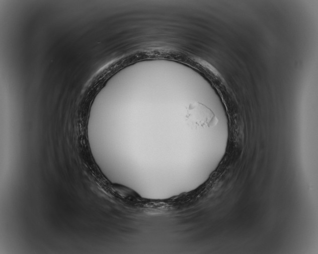 X0000083531112200703021545