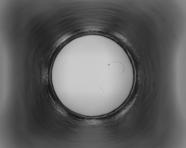 X0000083531113200703021545