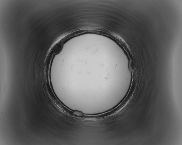 X0000083531114200703021545