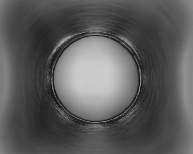 X0000083531115200703021545