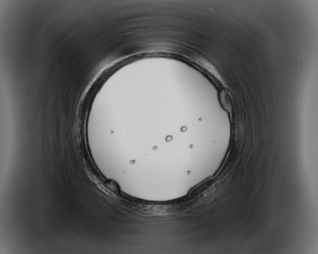 X0000083531116200703021545