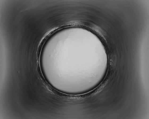 X0000083531117200703021545