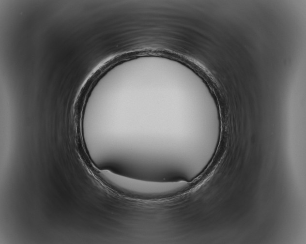 X0000083531118200703021545