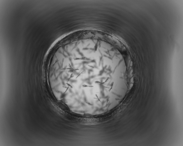 X0000083531120200703021545