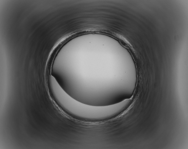 X0000083531122200703021545