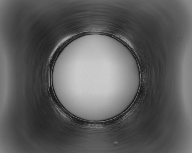 X0000083531123200703021545