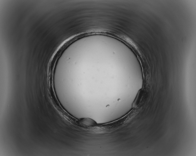 X0000083531124200703021545