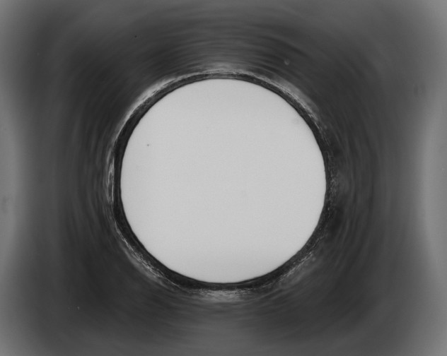 X0000083531126200703021545