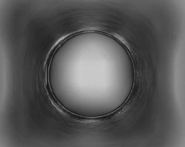 X0000083531127200703021545