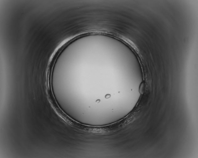 X0000083531128200703021545