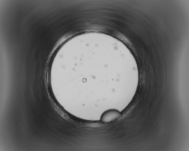 X0000083531130200703021545