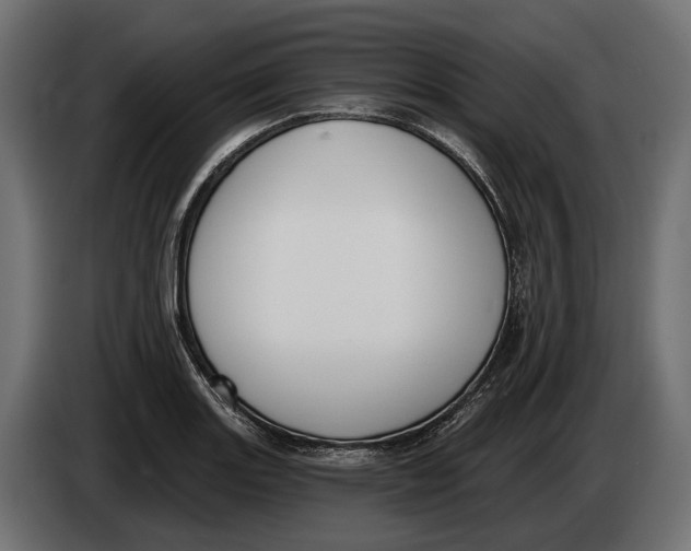 X0000083531131200703021545