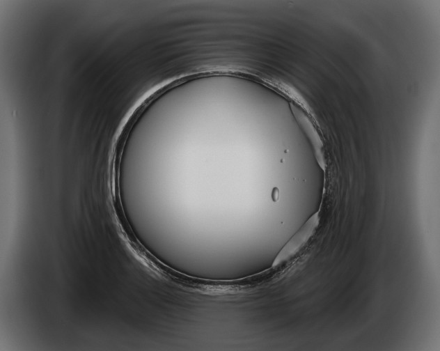 X0000083531132200703021545