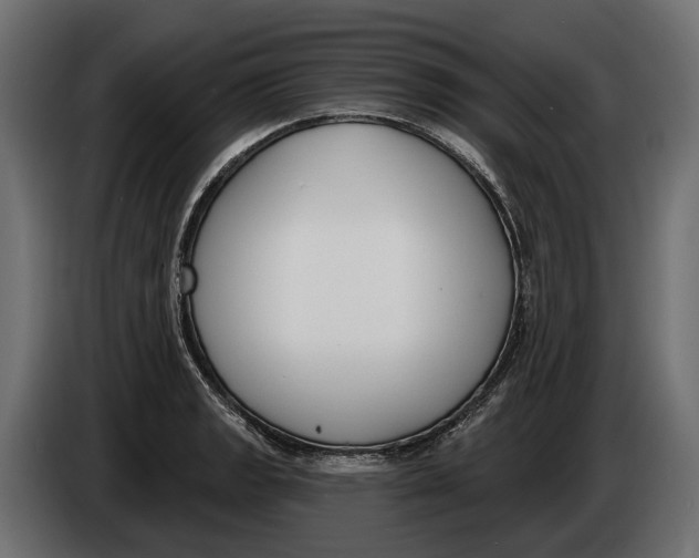 X0000083531133200703021545