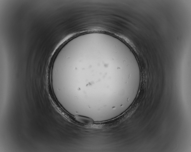 X0000083531134200703021545