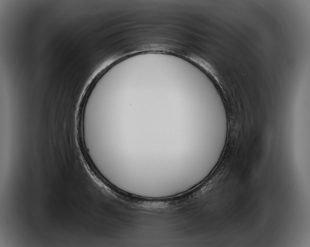 X0000083531135200703021545