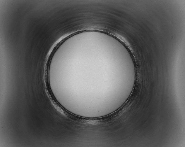 X0000083531136200703021545