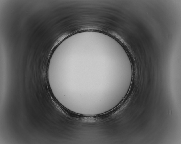 X0000083531137200703021545